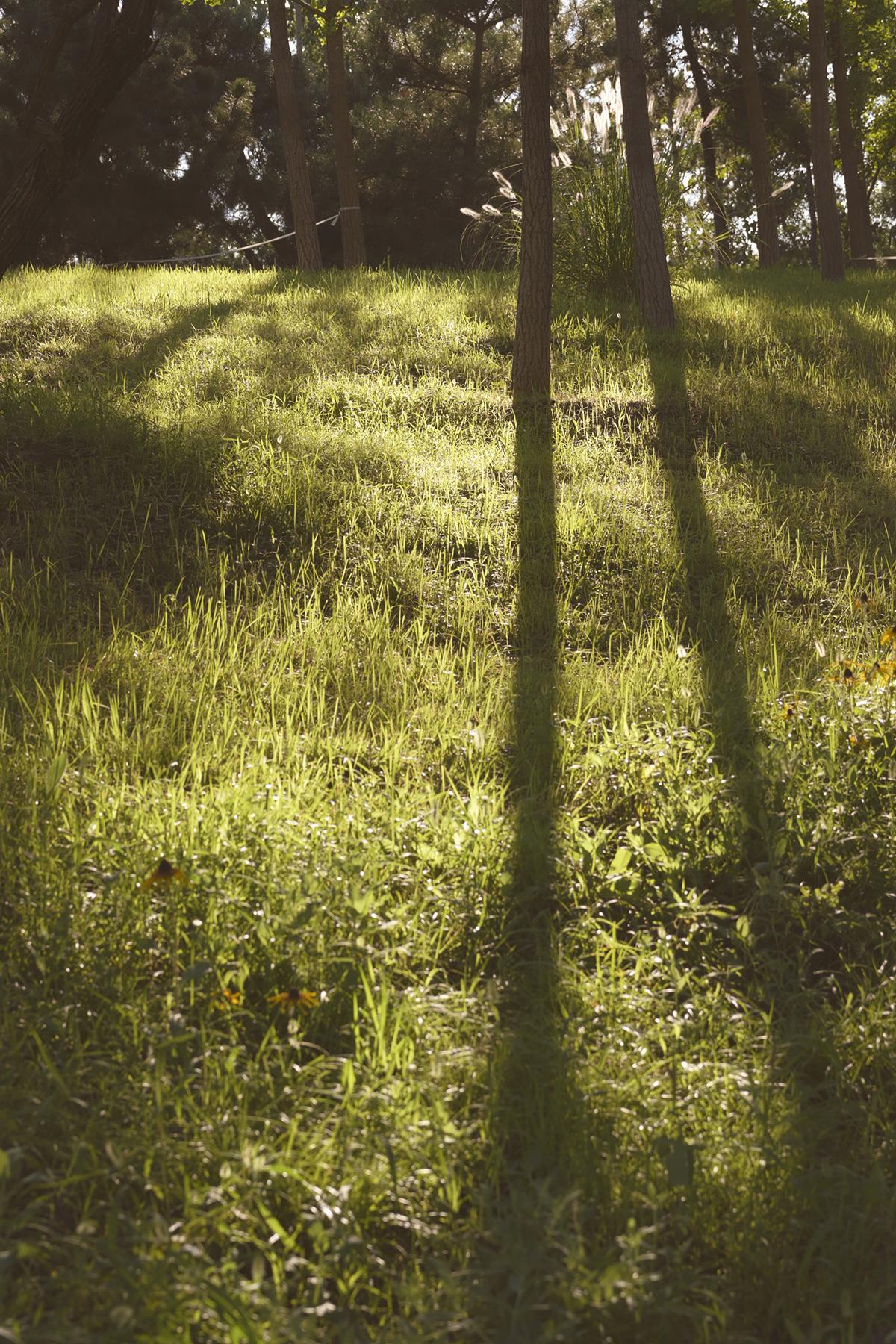 尼康Z30拍摄体验:滤镜掌握难度较高,配合丰富镜头会有好效果