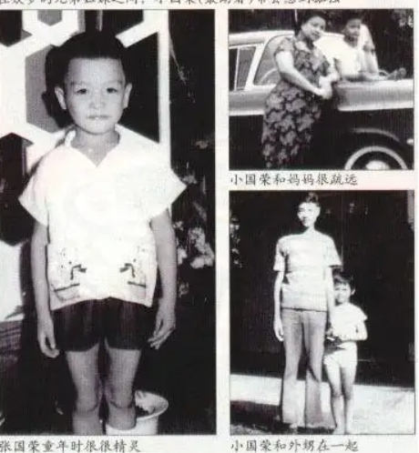 唐鹤德|为了张国荣，19年不婚不育的唐鹤德，他有后悔过吗？