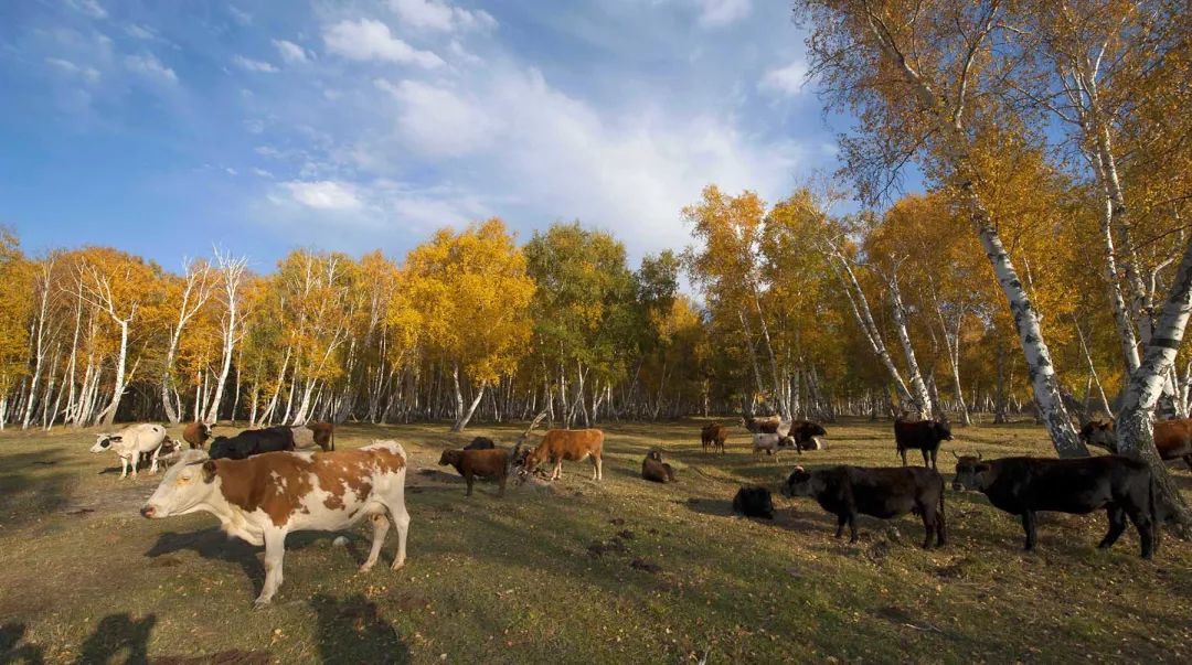 |10月必去10大古村，每一个都藏着你想不到的美！