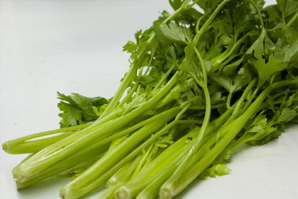 夏季减肥高峰期，四种食物，空腹的时候吃，体重蹭蹭往下降