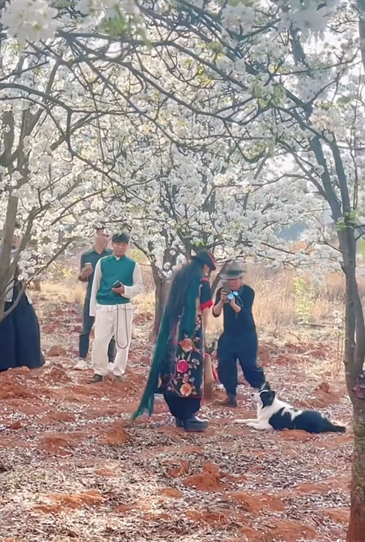 杨丽萍|杨丽萍姐妹俩赏花品茶，为拍照扯树枝摇花瓣雨，妹妹戴鸽子蛋抢镜