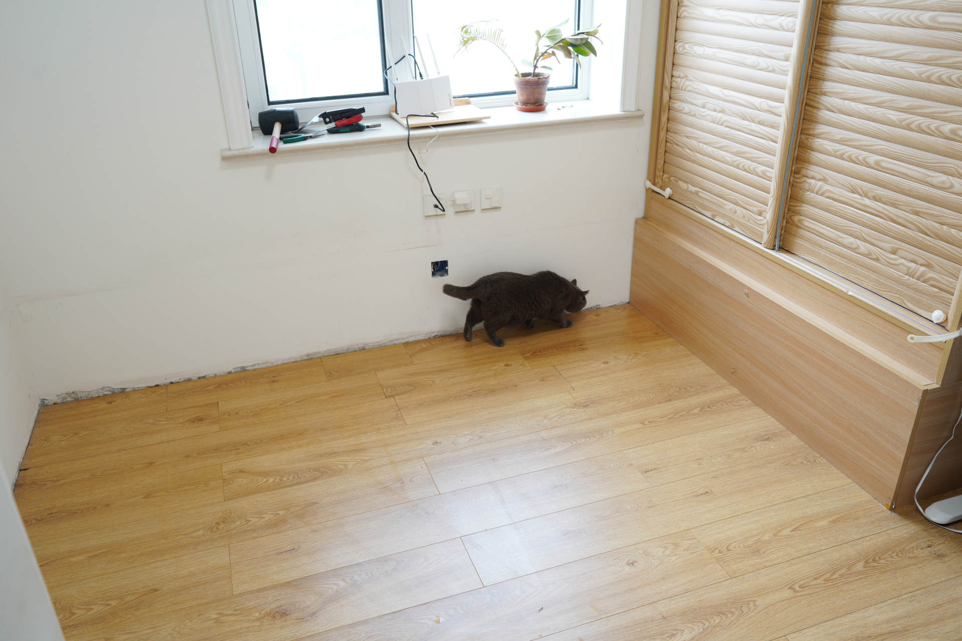 装修时花1万定做榻榻米,用了5年我还是决定把它拆了!