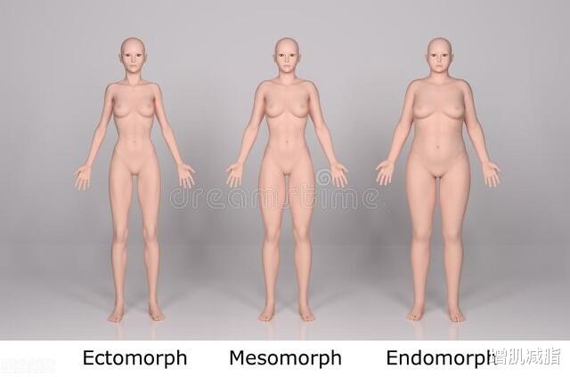 素菜 肥胖的人怎么科学减肥?牢记这3步,坚持10周,体脂率下降5%