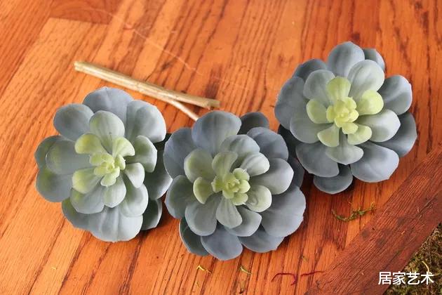 手把手教你在家DIY苔藓墙画