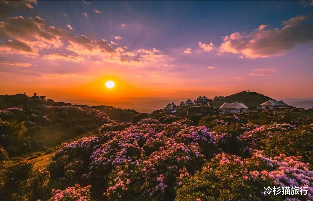 贵州|别只知道贵阳、遵义，贵州西部这座小众秘境才是秋日最佳旅行地