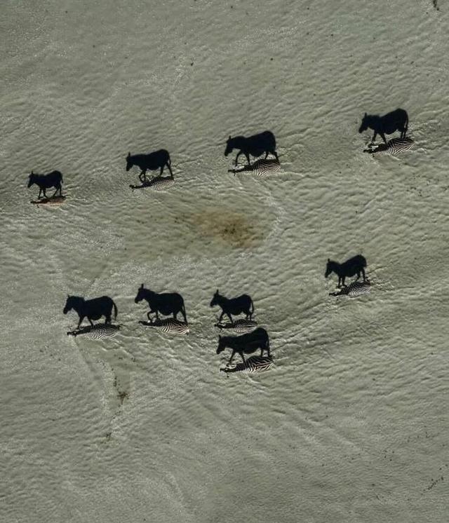 16个让你大开眼界的真实场景,看看有没有你也遇到过的?