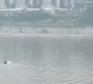 饵料|鱼竿把钓竿拖入河中,重庆男子下水捞鱼竿!为何会游泳还会溺水?