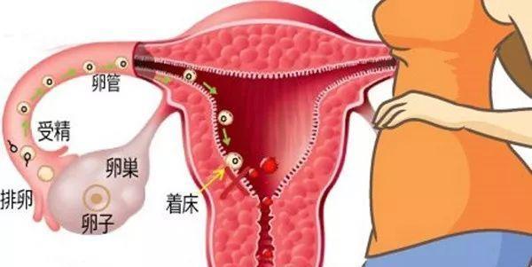 1992年一对宇航员夫妻上天:太空中发生“故事”,是怎样的感觉?