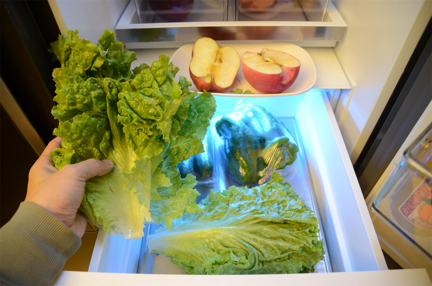 TCL|双11家用冰箱如何选?看这篇准没错 实测保鲜黑科技+三系统超厉害新品冰箱