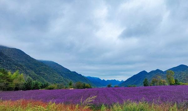 重庆|重庆又一景区走红网络，好耍巴适无套路，被誉为“中国的新西兰”