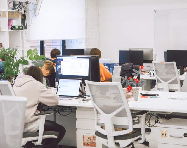 留学生|留学生不香了：大厂进不去，小厂嫌弃我