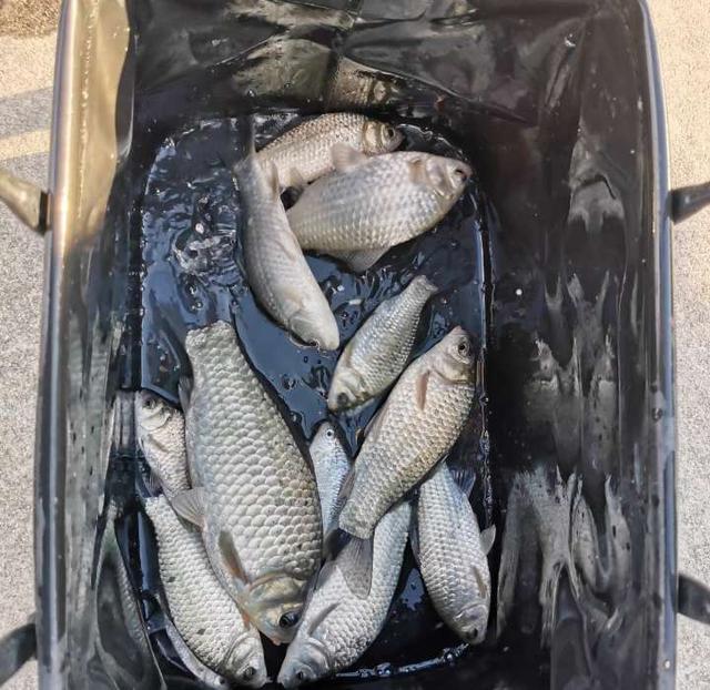 |浅谈逗钓都适用在哪些钓法之中