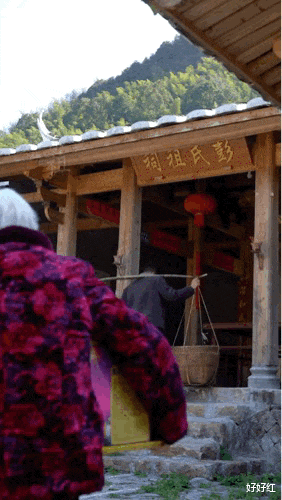 李子柒|男版李子柒爆火！坐拥800w粉丝，却不直播不带货，网友：这才是人间真实！