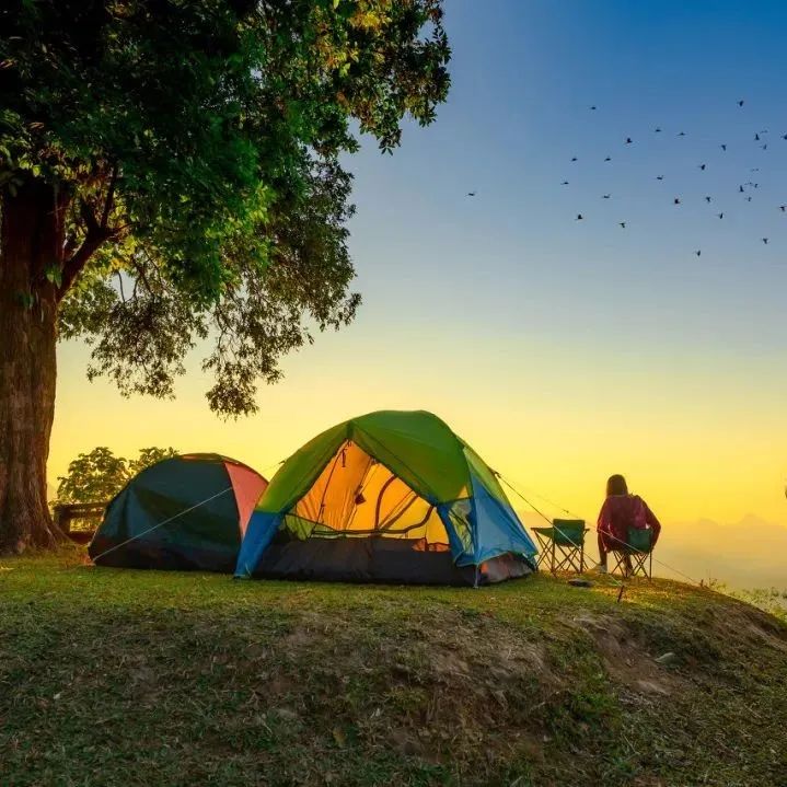 露营|有一种浪漫,是夏天一起去露营,看草原风光,看日落星河...