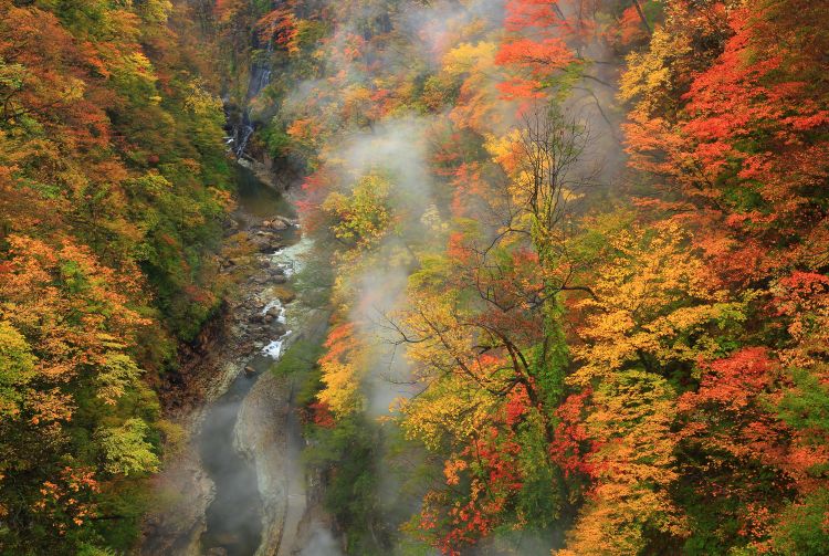 徒步|十月的日本：秋之最