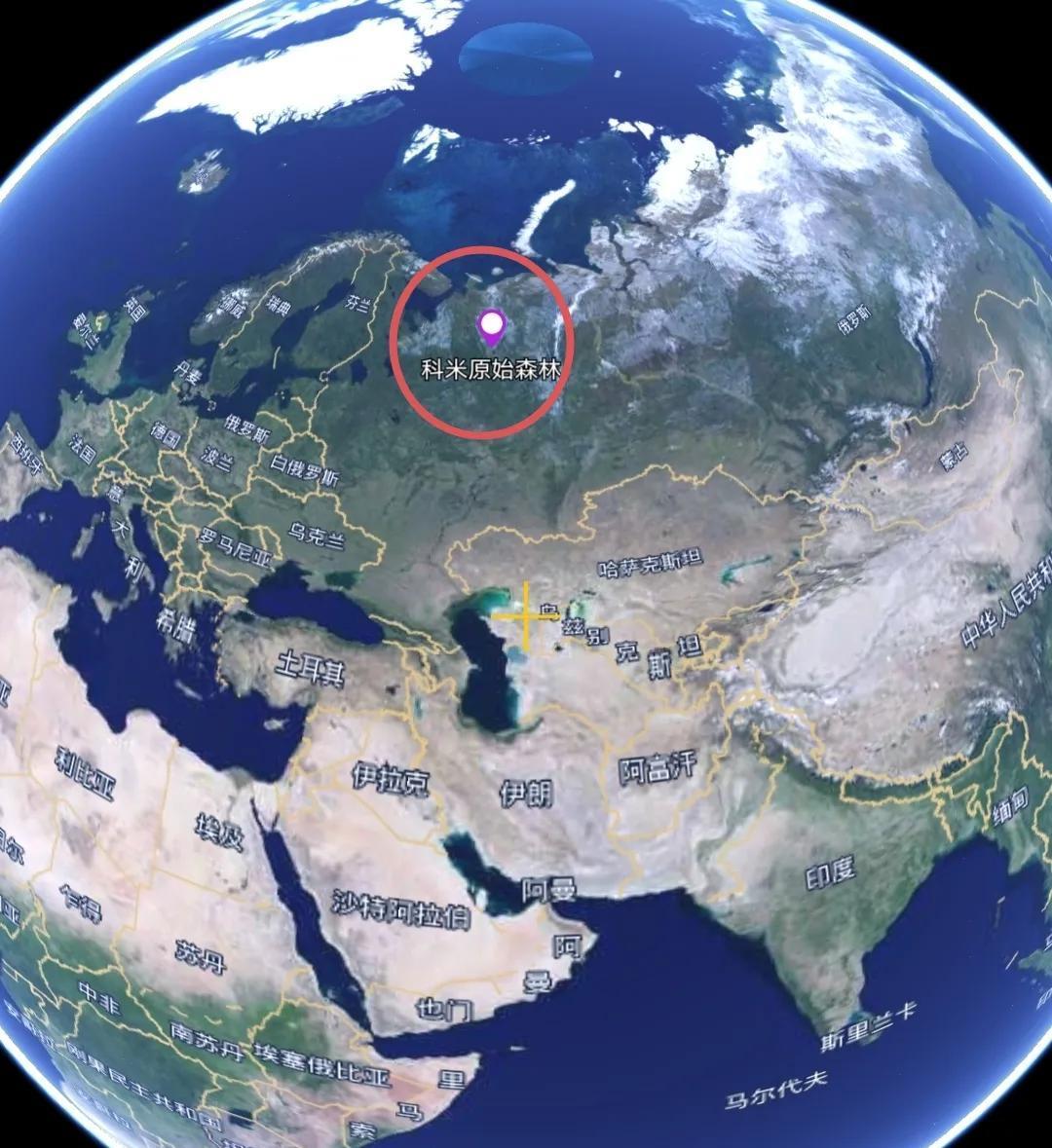 浙江省|科米原始森林——欧洲面积最大的原始森林