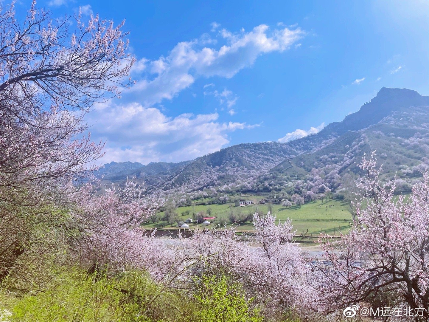 上海市|家乡美景家乡人，还有远方的那一“湾”