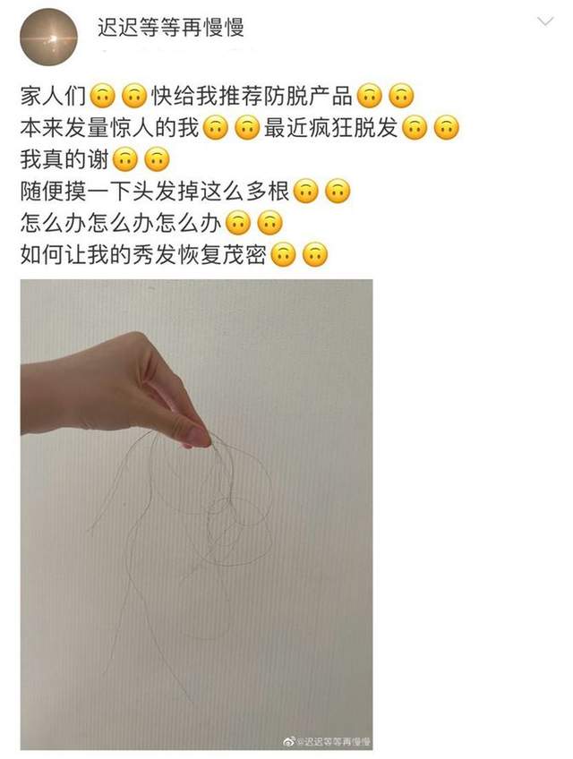 孙俪|孙俪妹妹自曝脱发严重险秃头!在线求助惹心疼,网友调侃:植发了解一下