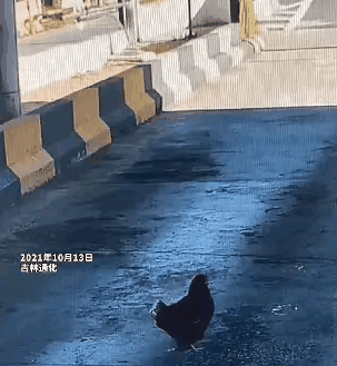 发型 本人想离职，但是不好意思说，请大家出出招，网友的回复让我笑翻