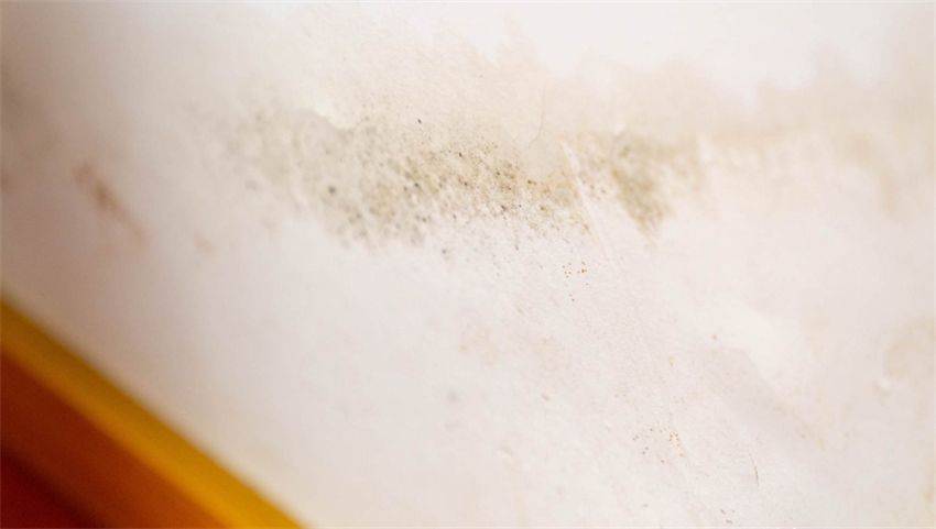 若不差钱,建议给家里添置这5件小家电,提升生活幸福感!