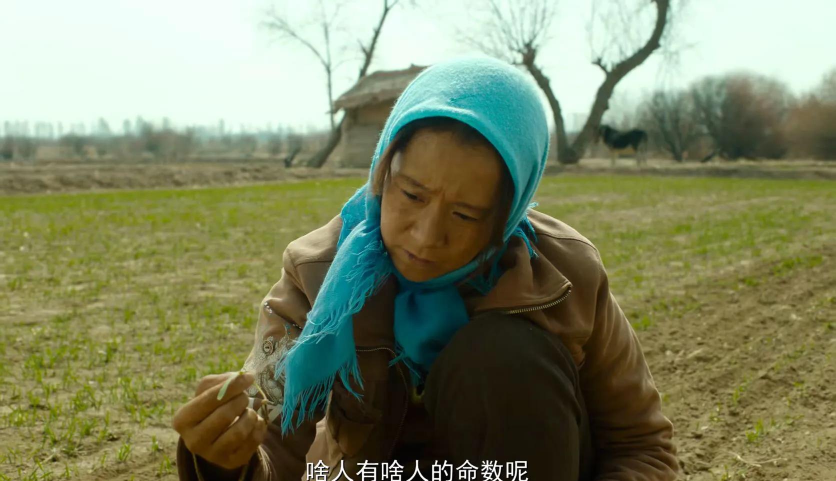 隐入尘烟|《隐入尘烟》遭全网下架,电影拍得好,但被下架也活该