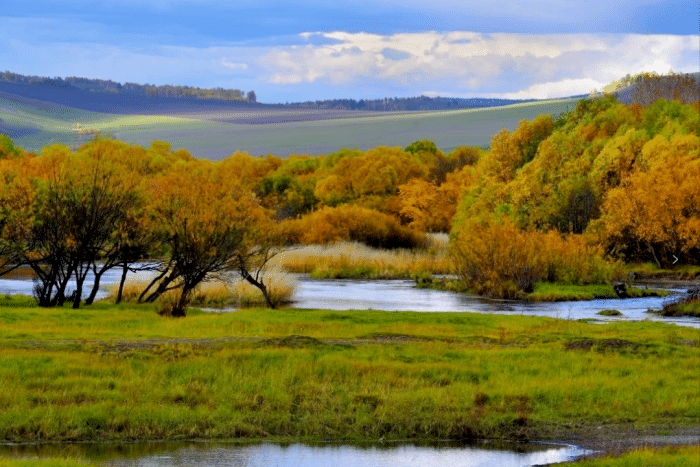 草原|【畅游陇原】这里有条古老的河——后川河