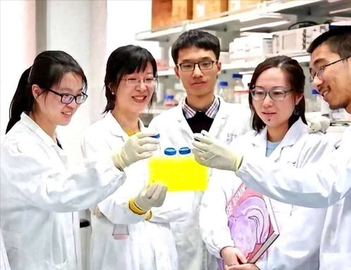 攻克抑郁症世界难题,号称“亚洲第一人”的美女科学家,弃美回国