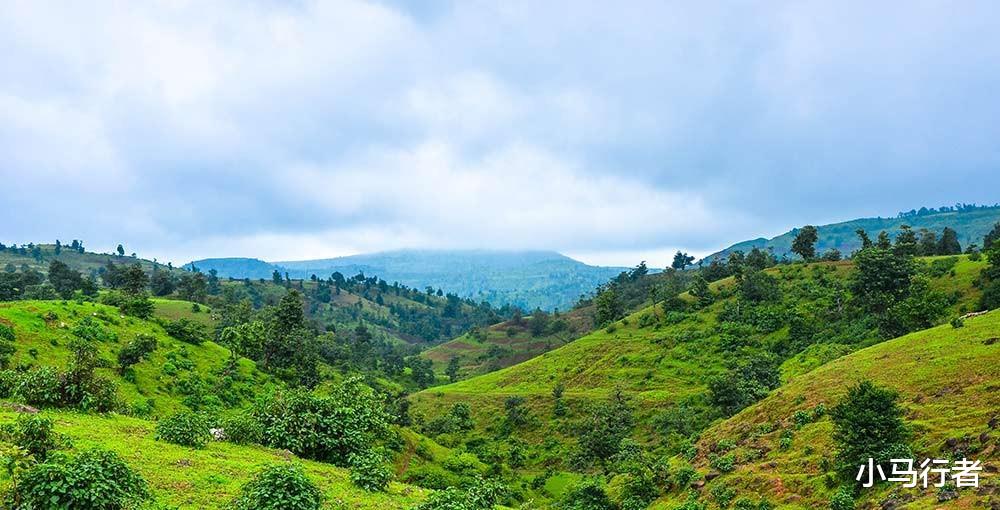 煤层是植物演化而来的?那百米厚的煤层,需要多少植物堆在一起?