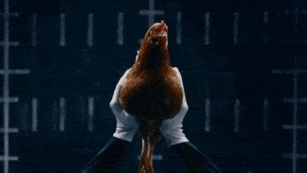 Dropbox|手持云台行业内卷，灯麦一体化拍摄方案或成新风向？