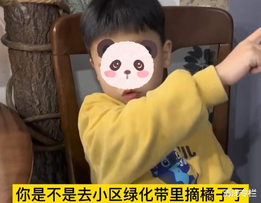 爸爸进绿化带摘橘子,被儿子和同学一起看到,儿子嫌丢人不敢相认