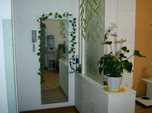 有钱人在玄关都会放上这几样物品,暗示运气越来越好,太聪明了