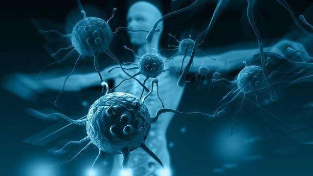 免疫力“神秘帮手”?科学家:摄入核苷酸4周,变化大不同
