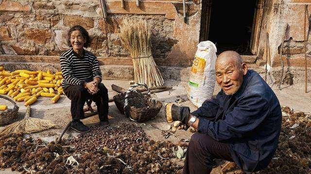 新房|“恭喜”农民朋友!农村将统一处理老房子,但这3种情况没有补偿