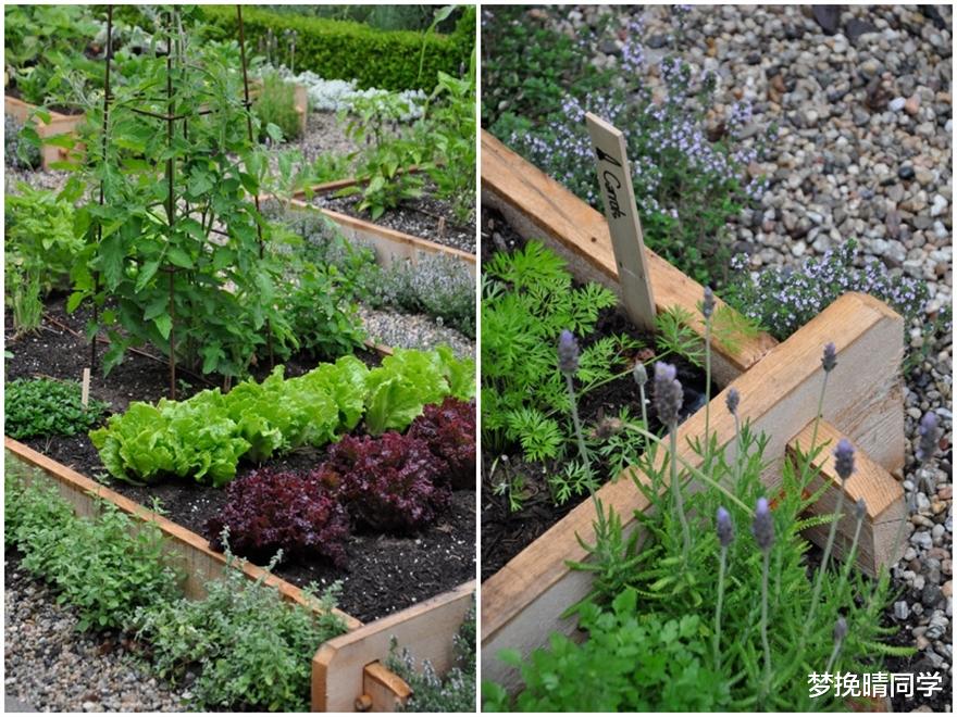 砖围花园早没特色了!换成饮料瓶,倒插一圈,每个颜色都不一样