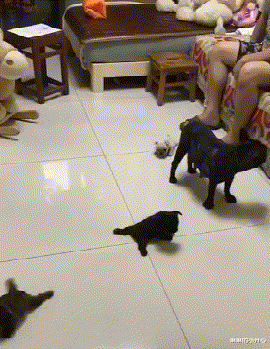 |“钓鱼钓出来个破石头，看起来很值钱”还是放回去心里踏实点