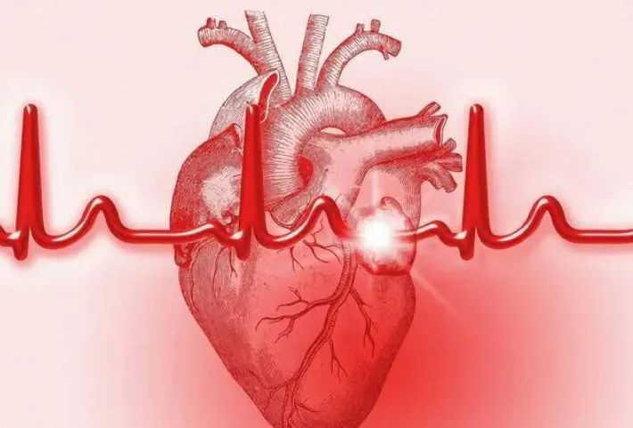 心脏|心脏最喜欢的5道食物，常吃 对身体好