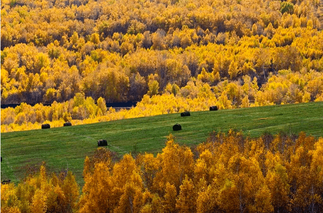 感冒|秋天到了,我们要怎么做尽量避免生病