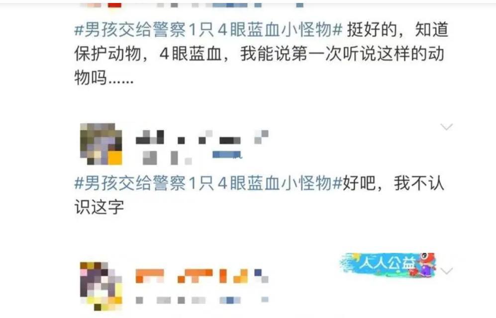 浙江火了!温岭现身一只4眼物种,血液为蓝色,存在恐龙时代之前