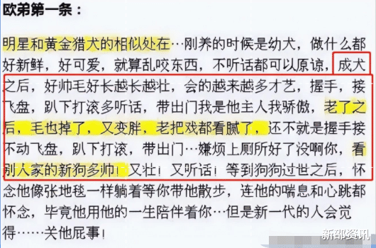 曹云金|错把平台当本事，有人销声匿迹，有人另辟蹊径，有人大呼后悔