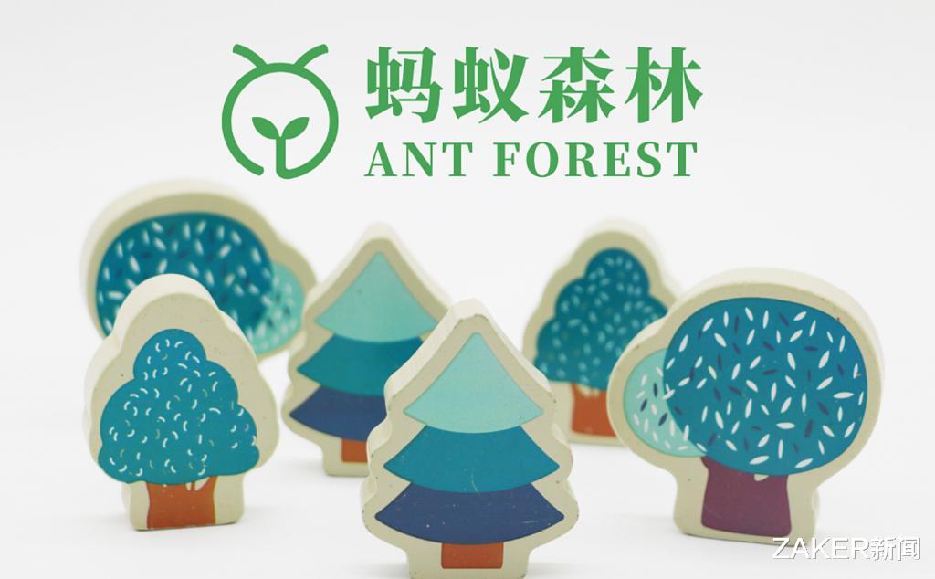 快手视频|你每天在蚂蚁森林积攒的能量，最后真的被用到了保护环境上吗？