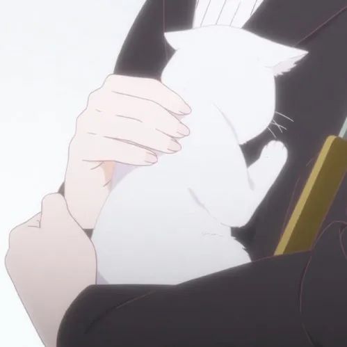 acgn漫评|动漫头像| 温柔个性的动漫微信头像