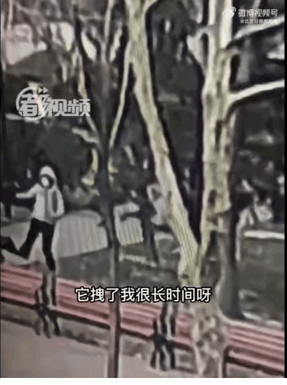 北京一女子出门散步时,突然被一条狗扑了过来,女子被狗扑倒后,狗还对其实施攻击行为