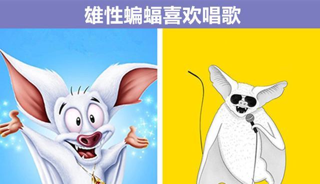海豚也有自己的名字?细数:与动物有关的9个奇妙的冷知识