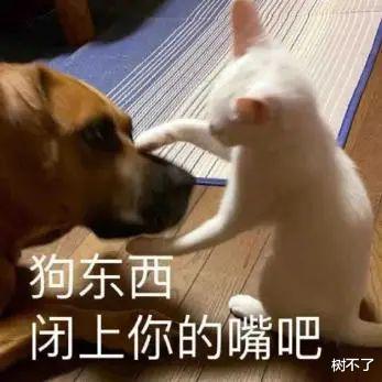 女孩|「杨超越」夸她可爱是「眼瞎」？被网友狂喷的她到底错在哪了？