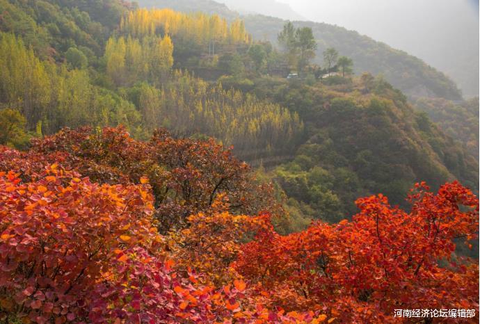 达州|河南林州市：太行大峡谷秋景美如画