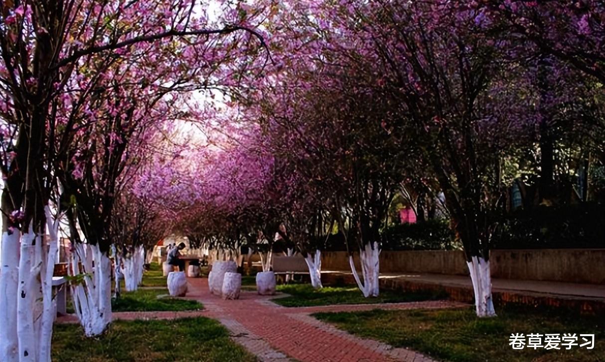 三明|号称是中国烟草“娘家”的大学，分数线不算高，今年的考生可参考