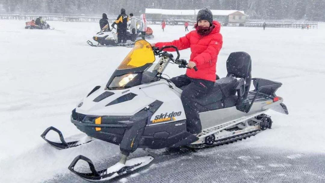 喀纳斯|喀纳斯,西北边境的原始小城,跨越千山万水,只为一刻的心灵悸动