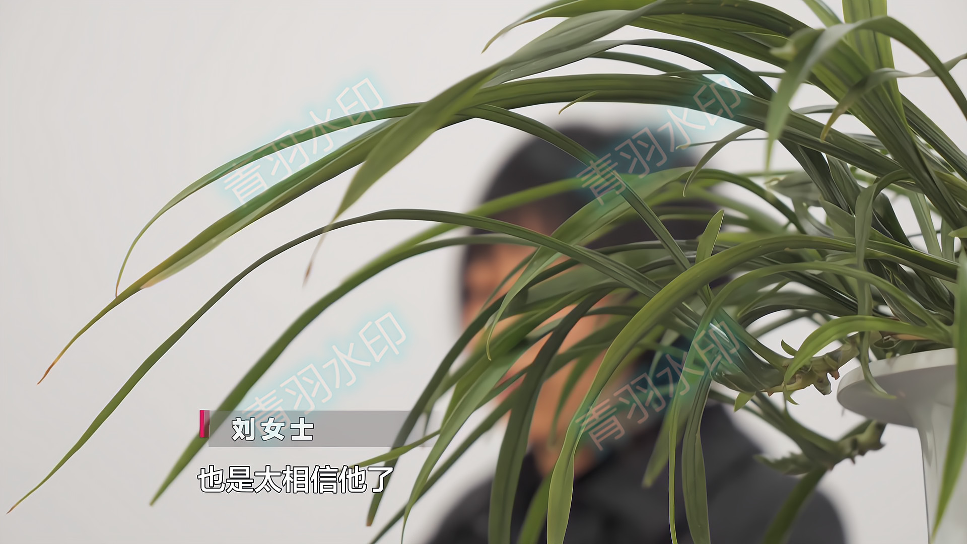 女子网恋被骗40万，半年后网恋外国男友，又被骗80万：他人很好