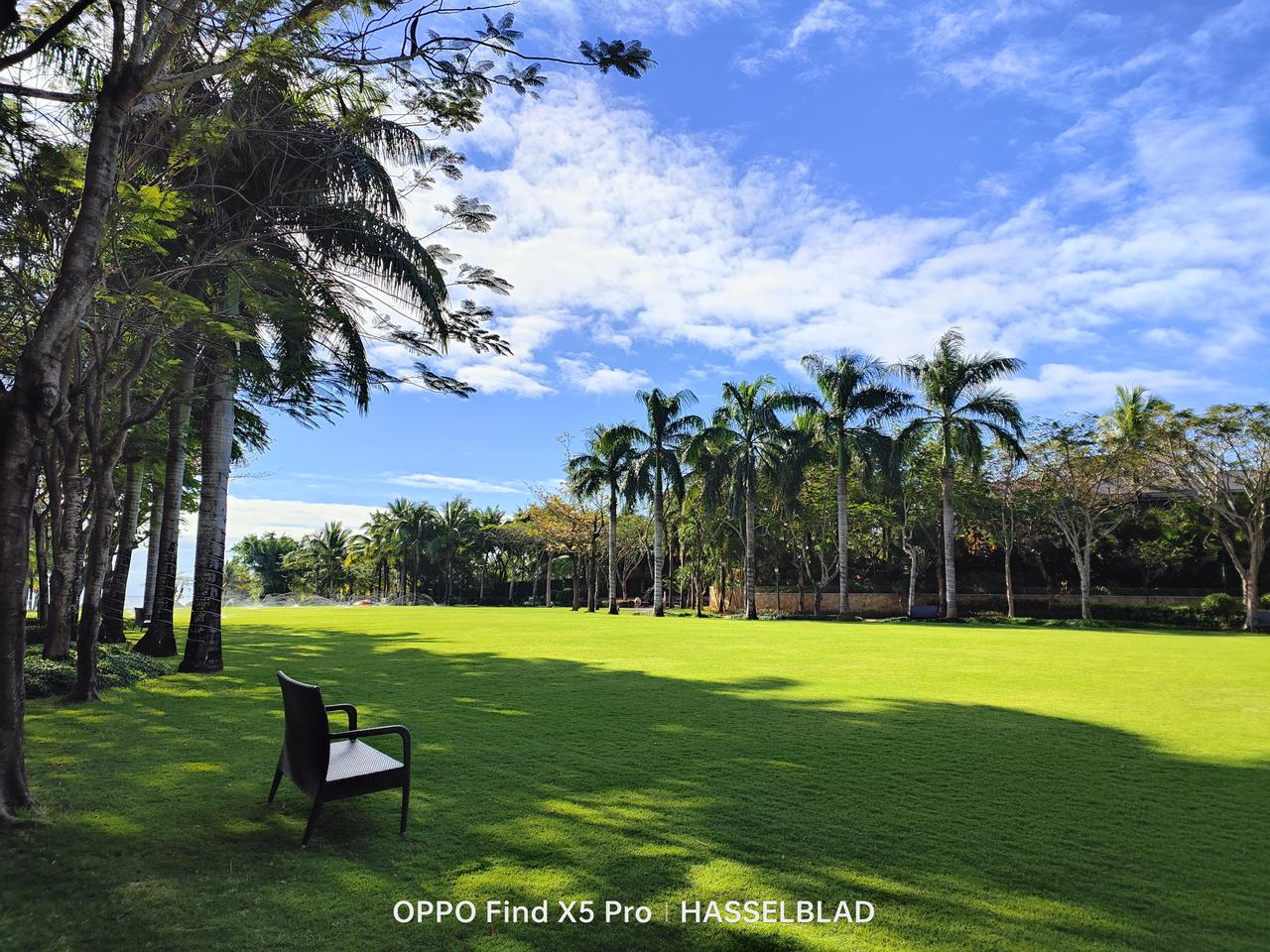 机器人|苹果最便宜5G手机登场：3499元起，配置入门还不如看国产新品？