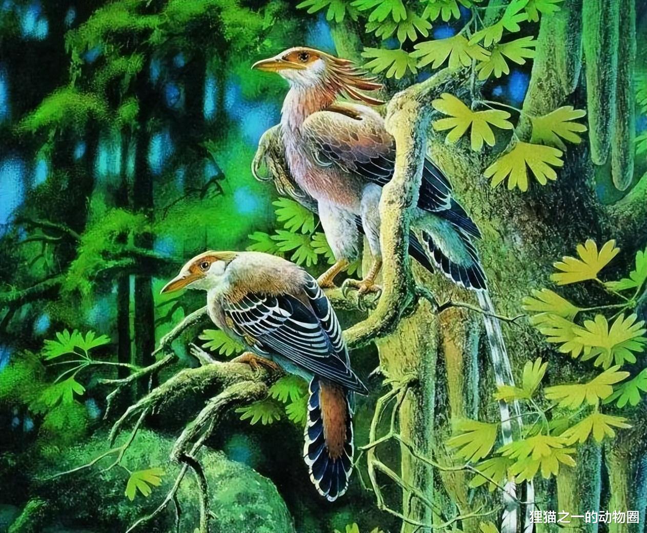 我国科学家发现师范孔子鸟，来自亿年前，改变对古鸟类演化的认知